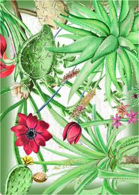 SET STROFINACCIO 2PZ SIENNA 50X70 Tellini S.R.L. Χονδρική ενδυμασία